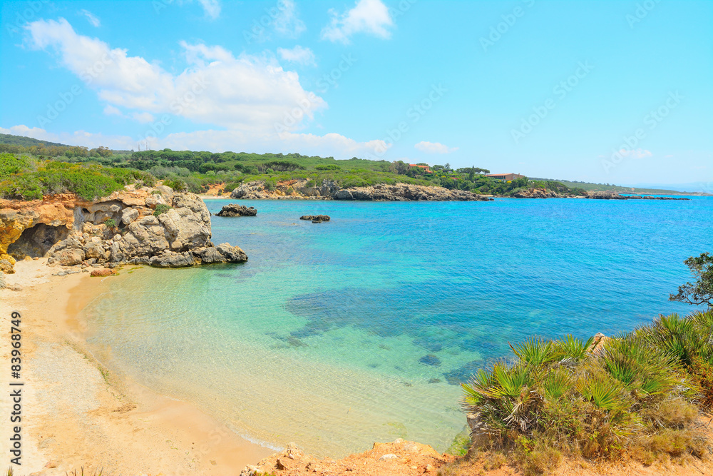 Fototapeta premium cloudy sky over Alghero shore
