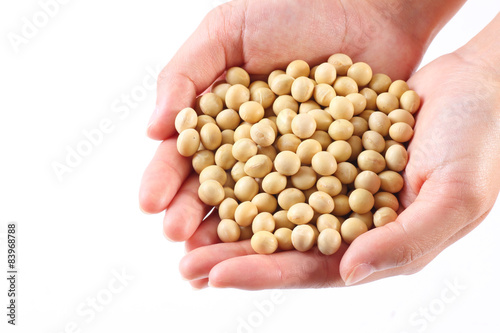 大豆の品質