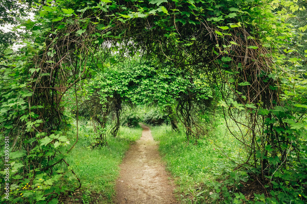 Beautiful Alley In Park. Garden Landscaping Design Beautiful Alley In Park. Garden Landscaping Design