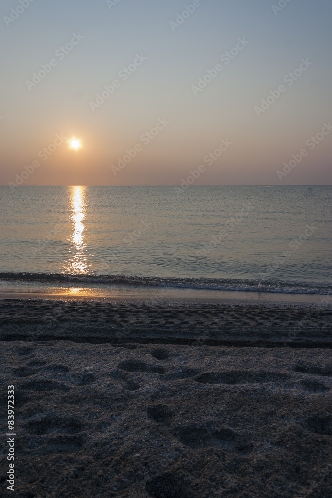 Fototapeta premium sunshine at dawn -portrait orientation