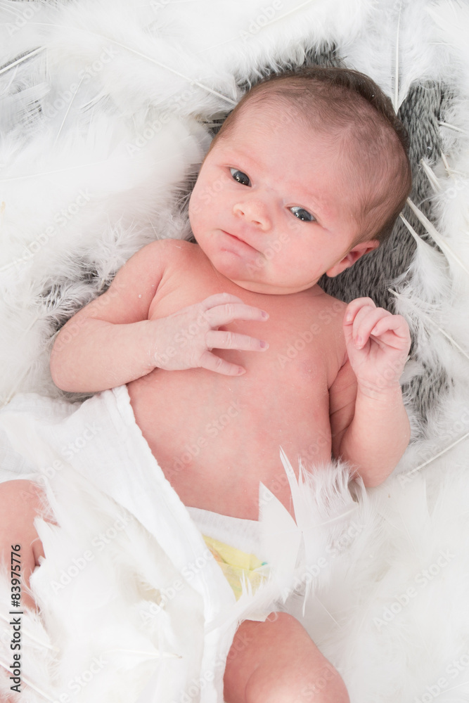 Newborn baby in white cotton and feathers Newborn baby in white cotton and feathers
