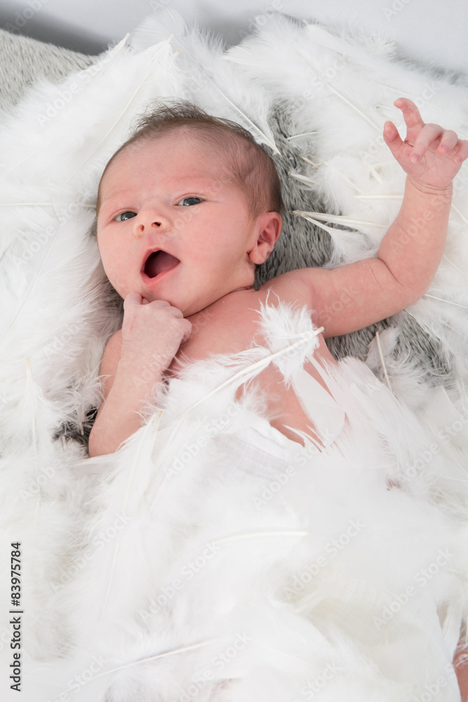Newborn baby in white cotton and feathers Newborn baby in white cotton and feathers