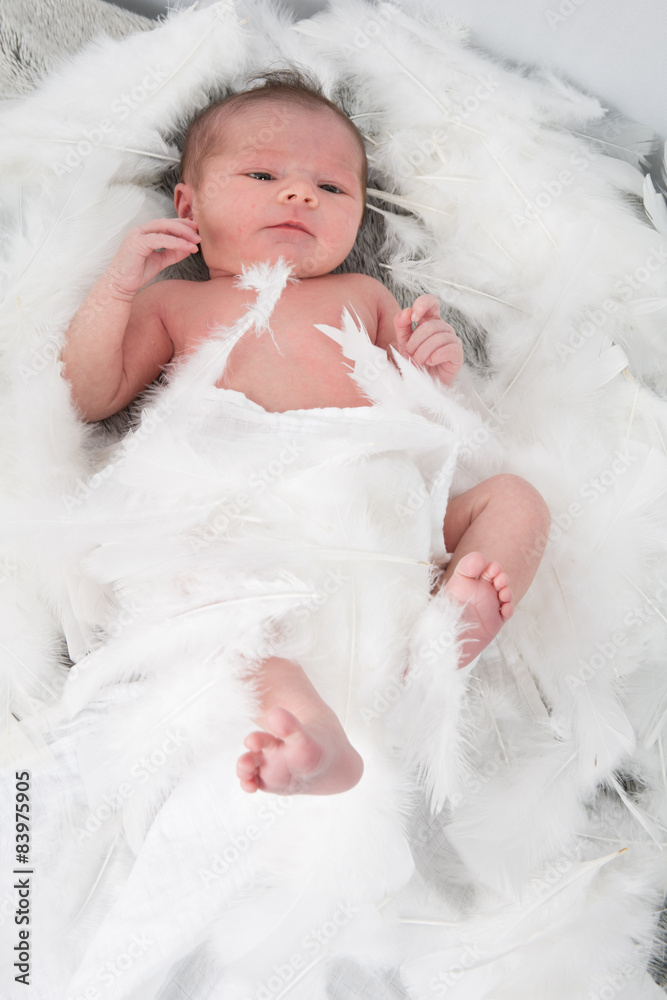 Lovely newborn baby sleeping in feather nest Lovely newborn baby sleeping in feather nest