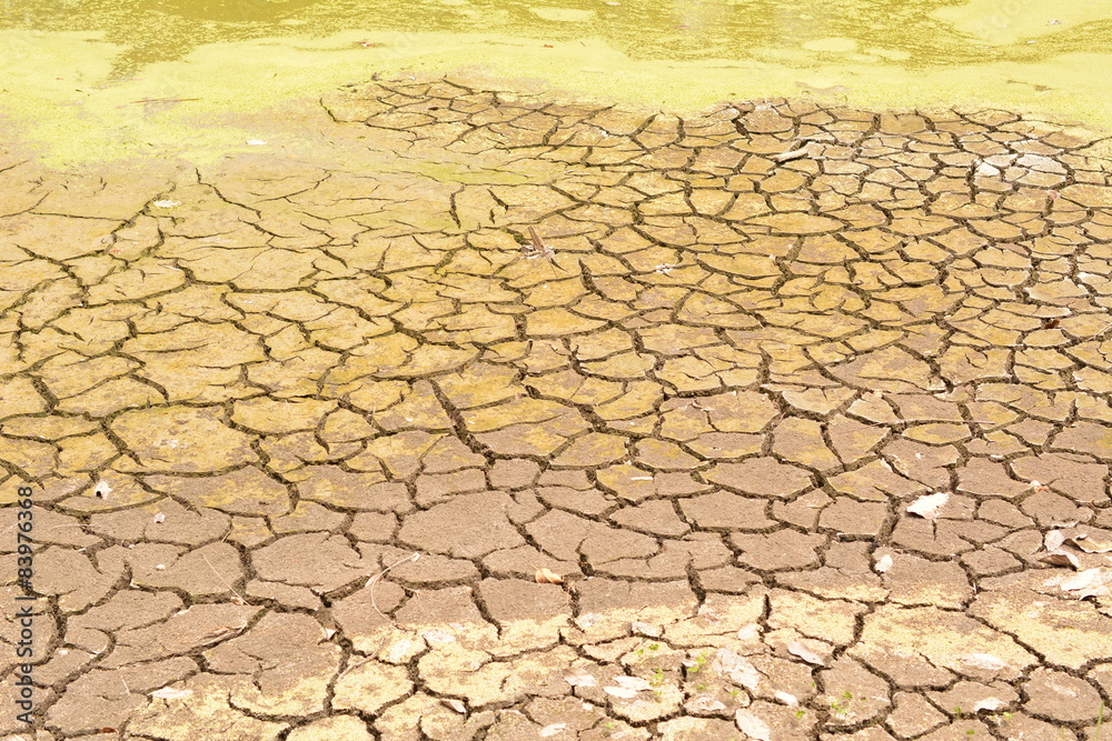 Land with dry and cracked earth background Land with dry and cracked earth background