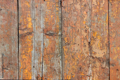 texture old wood with paint