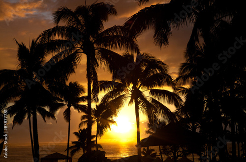 Paradise beach sunset or sunrise with tropical palm trees. Summe