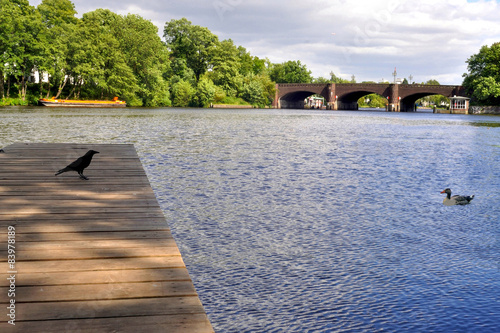 Begegnung an der Alster