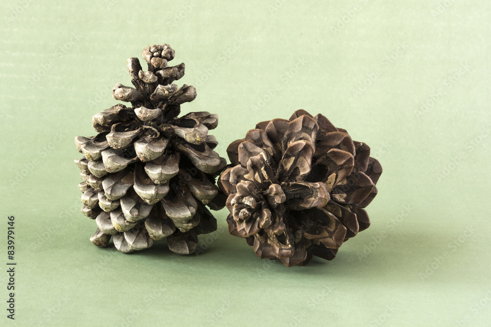 Two pine cones Two pine cones