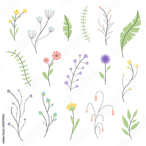 Vector Illustration of Abstract Floral Elements