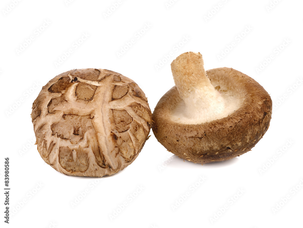 Shiitake Mushrooms isolated on the white background. Shiitake Mushrooms isolated on the white background.
