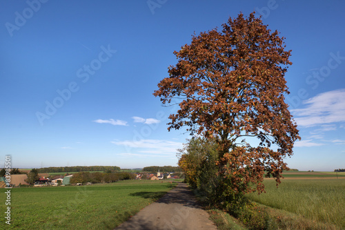 Landschaft mit einem Baum im Vordengrund