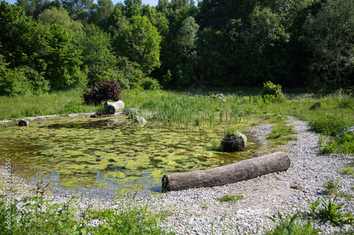 Biotop angelegt