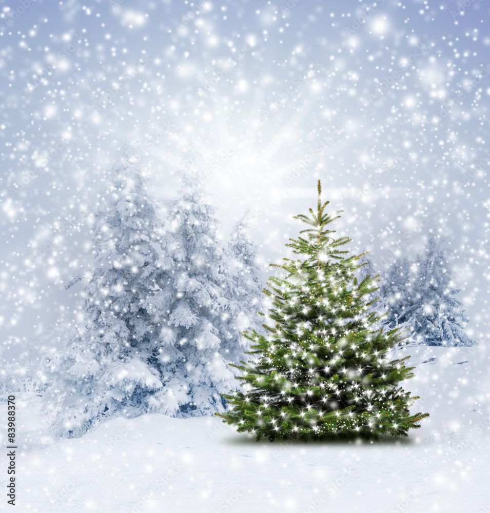 Geschmückter Weihnachtsbaum Geschmückter Weihnachtsbaum