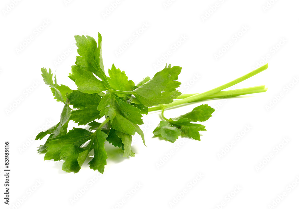 Celery on White Background