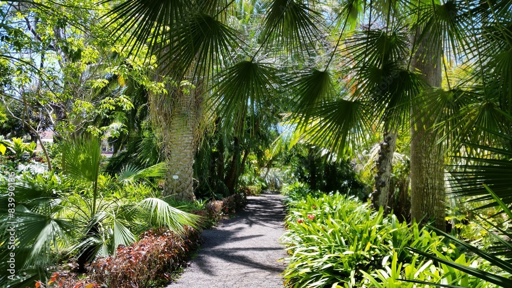 Botanicher Garten Botanicher Garten