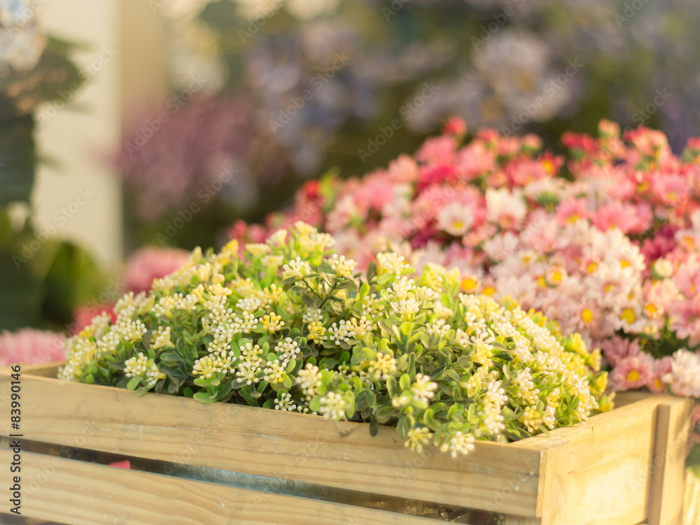 Plastic flower in wooden box