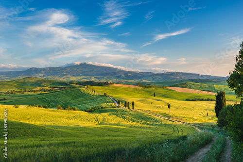 Beautiful sunny summer landscape of Tuscany