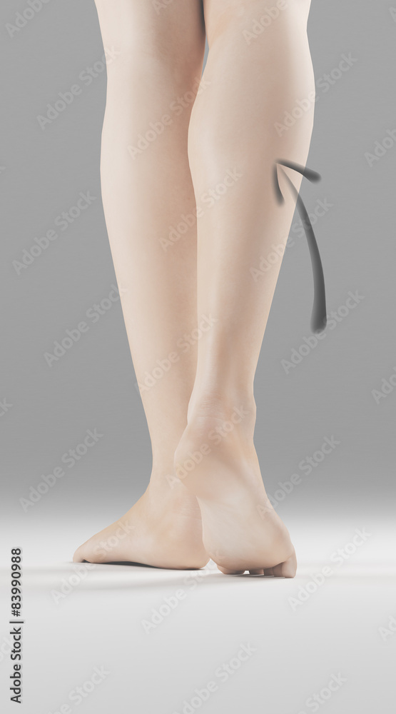 Gambe donna polpaccio destro indicato Gambe donna polpaccio destro indicato