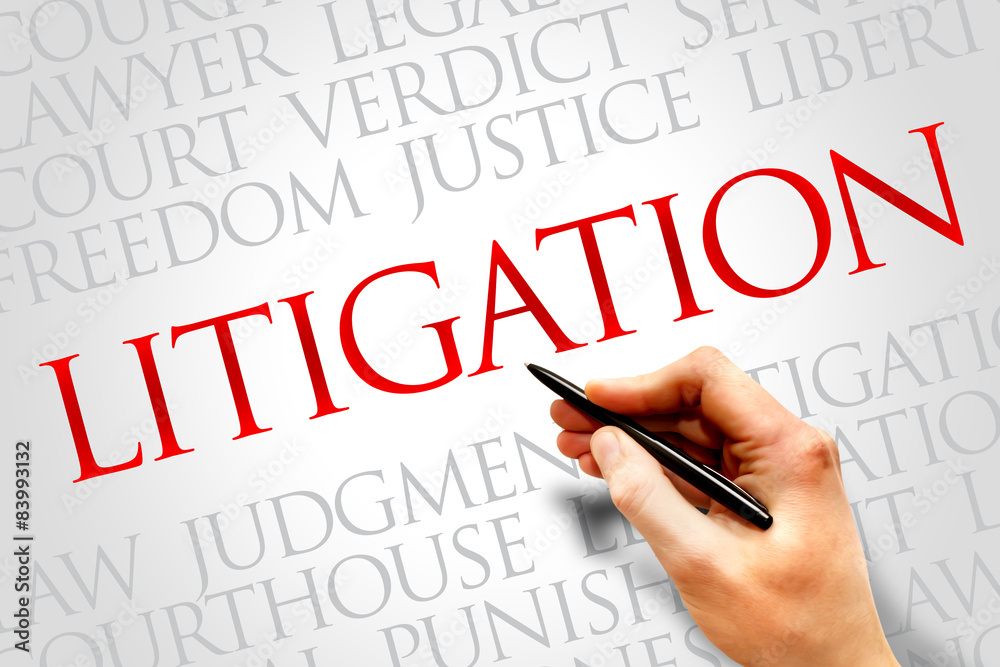 Litigation word cloud concept Litigation word cloud concept