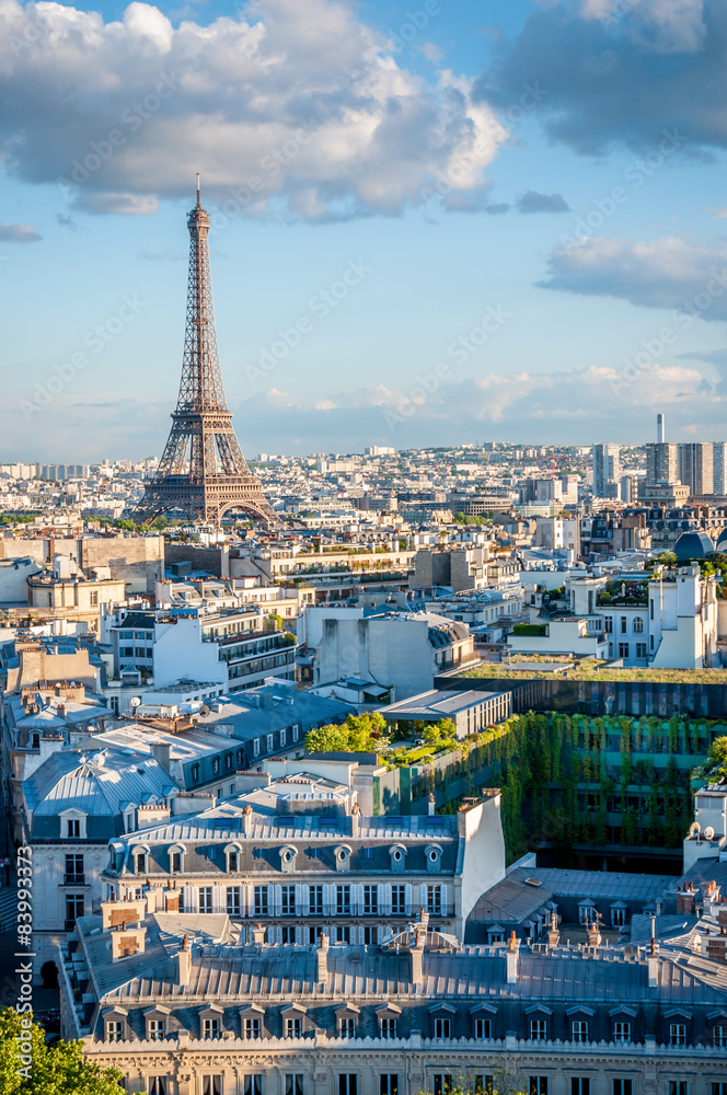 Obraz premium Vues de l'Arc de Triomphe