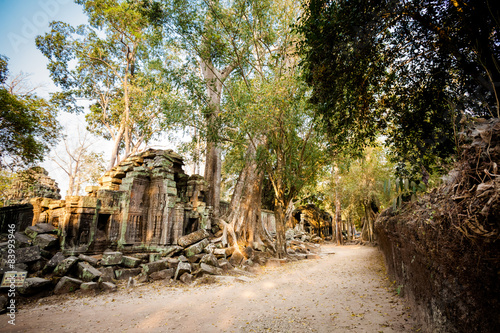 Ta Prohm temple Angkor Wat photo