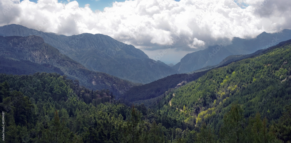 Obraz premium mountains covered with forest and clouds
