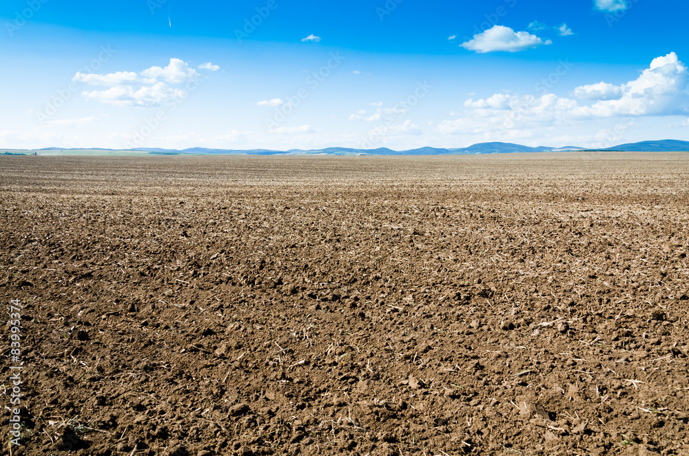 brown field and blue sky. brown field and blue sky.