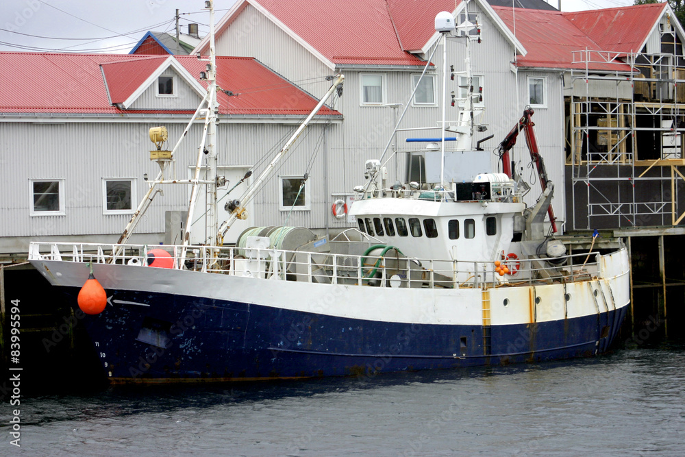 Fototapeta premium isole lofoten
