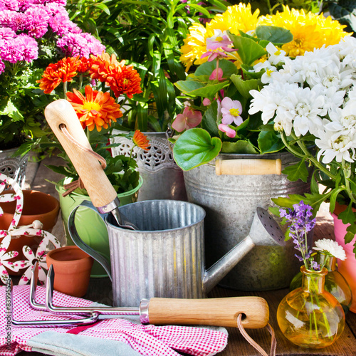 Gartenblumen photo