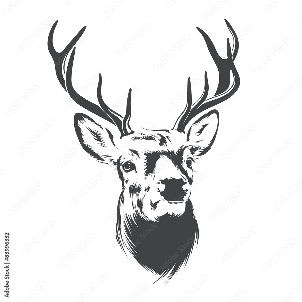 Obraz premium Portrait of a deer head with horns. Design element for logo or tattoo.Vector illustration in black and white style