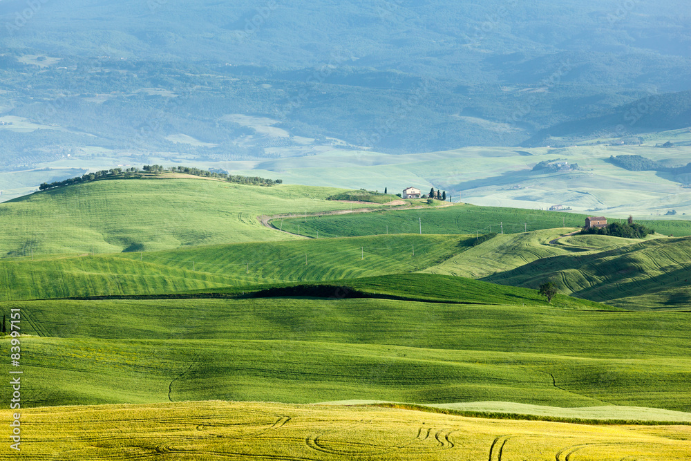 Spring landscape of fields Tuscany Spring landscape of fields Tuscany