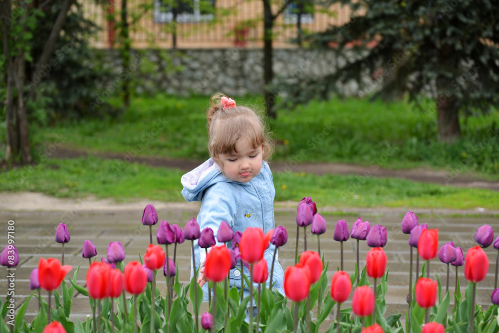 Little girl near the flower beds with tulips Little girl near the flower beds with tulips
