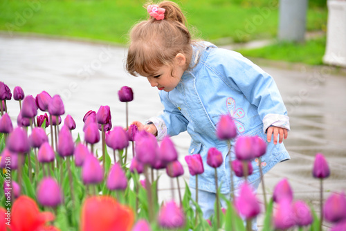 Little girl near the flower beds with tulips
