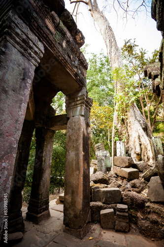 Ta Prohm temple Angkor Wat photo