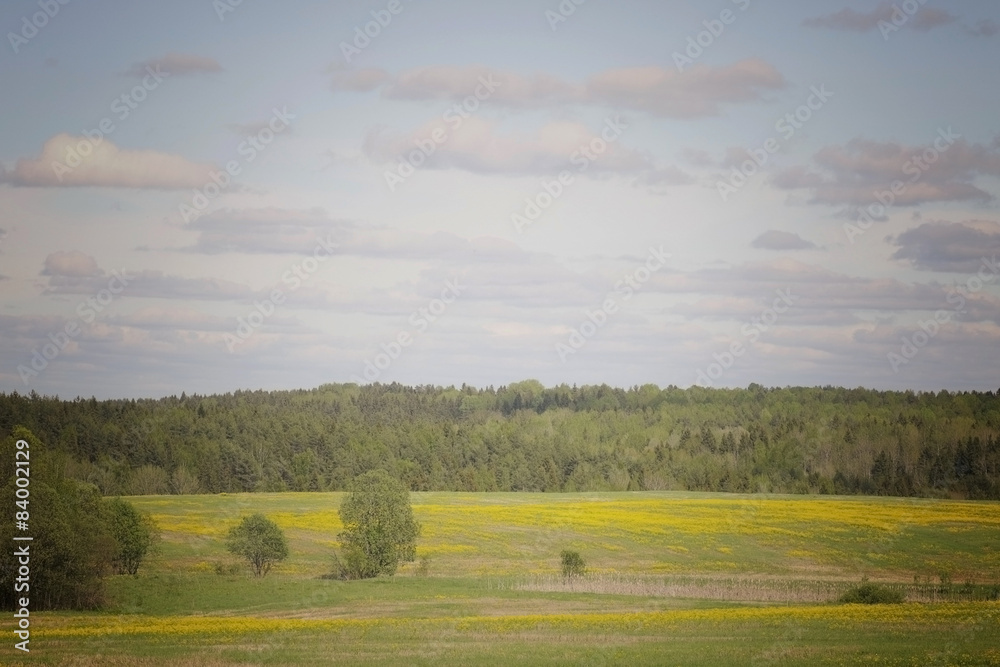 landscape countryside field