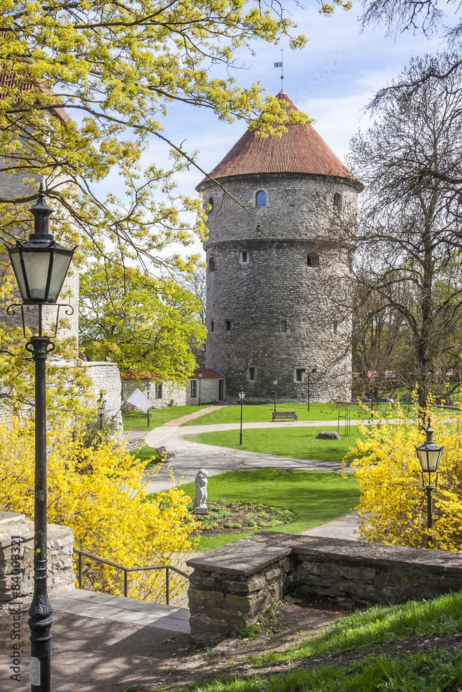 Naklejka premium Springtime In Medieval Town