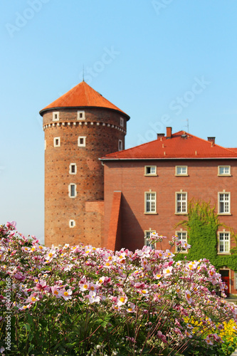 Wawel Castle, Krakow, Poland #84003966