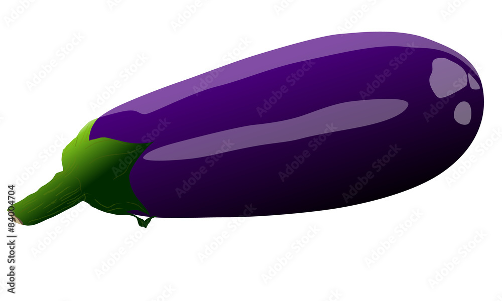 Eggplant isolated on white background - Vector
