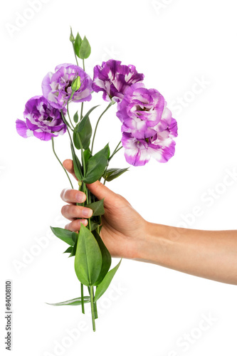 Purple flowers in hand © laboko