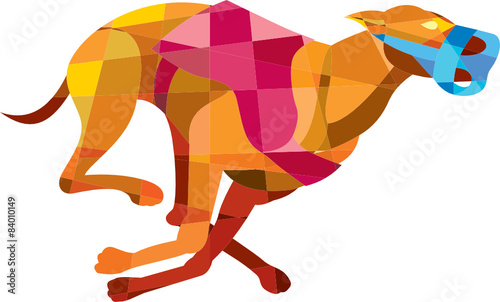 Greyhound Dog Racing Low Polygon
