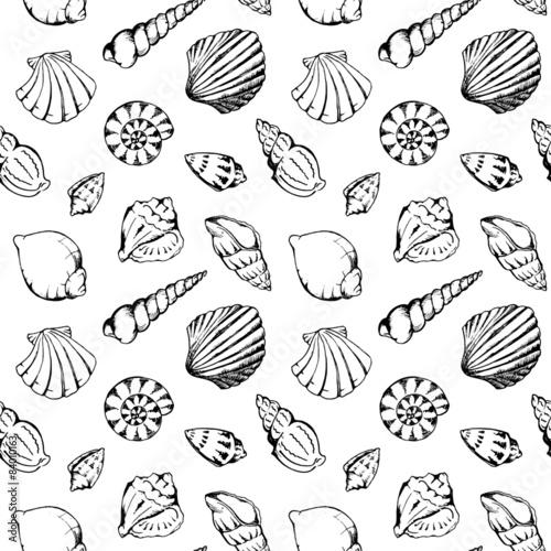 Sea shells vector seamless pattern texture background