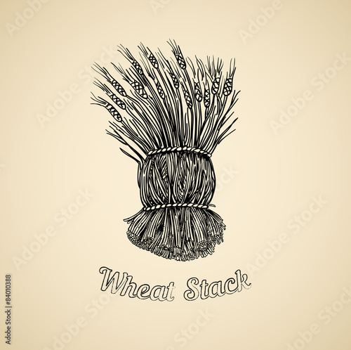 Bunch of wheat