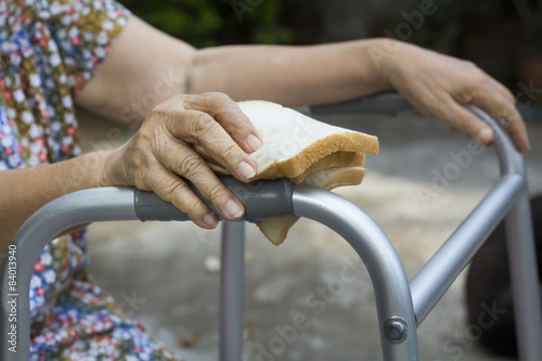 elderly woman holding a slice of bread for dogs