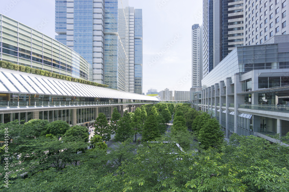 高層ビル群と新緑 高層ビル群と新緑