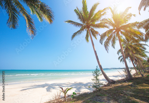  tropical beach and coconut palm trees