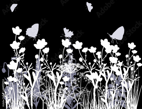 white and grey flowers in grass isolated on black