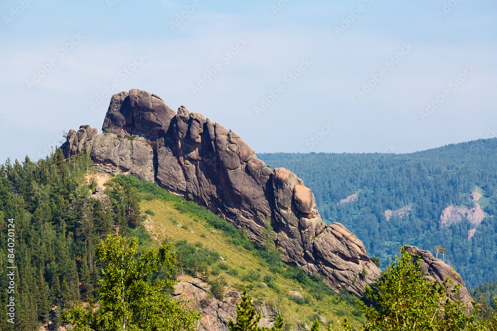 Fototapeta premium Summer landscape the wood, mountains in Russia
