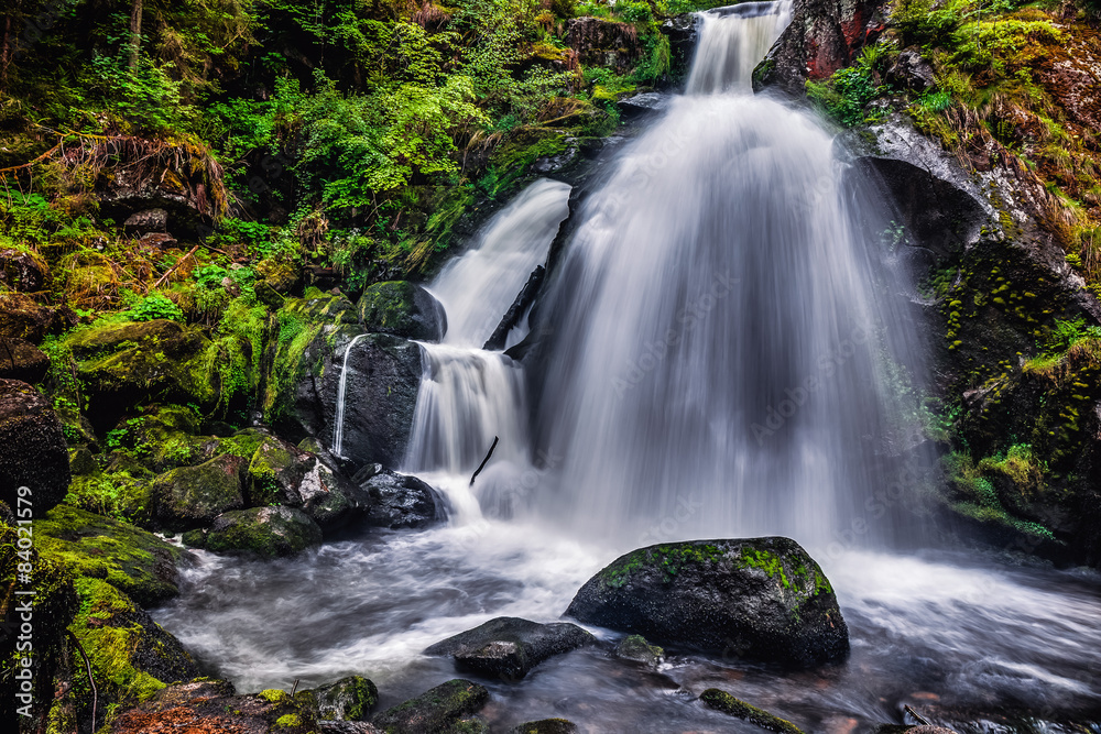 Fototapeta premium Spring Waterfall