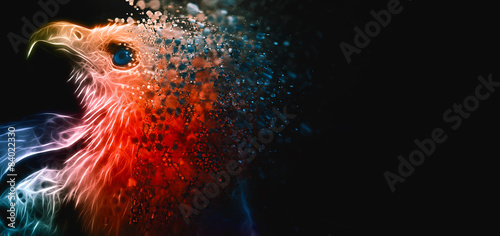 Digital photo manipulation of an eagle