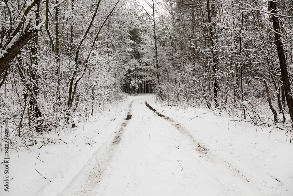 Obraz premium the winter road 